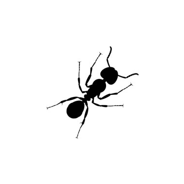 Sanat Illustration, Logo, Pictogram, Web sitesi veya Grafik Tasarım Elemanı için Ant Silhouette. Vektör İllüstrasyonu