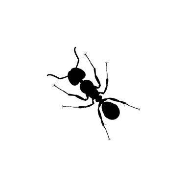 Sanat Illustration, Logo, Pictogram, Web sitesi veya Grafik Tasarım Elemanı için Ant Silhouette. Vektör İllüstrasyonu