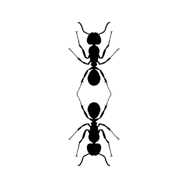 Pair Ant Silhouette Art Illustration Logo Pictogram Website Graphic Design — 스톡 벡터