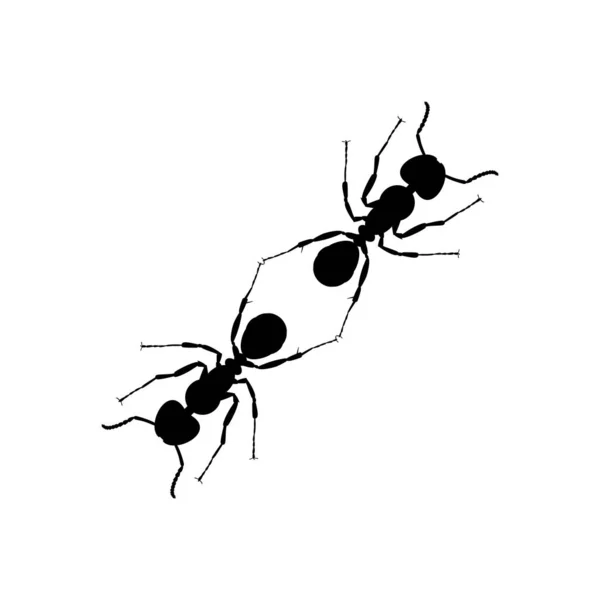 Pair Ant Silhouette Art Illustration Logo Pictogram Website Graphic Design — 스톡 벡터