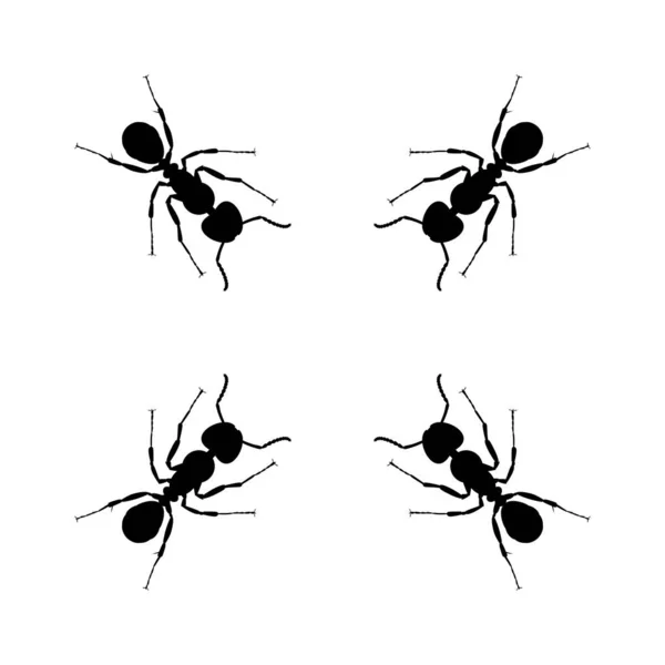 Colony Ant Silhouette Art Illustration Logo Pictogram Website Graphic Design — Stock Vector
