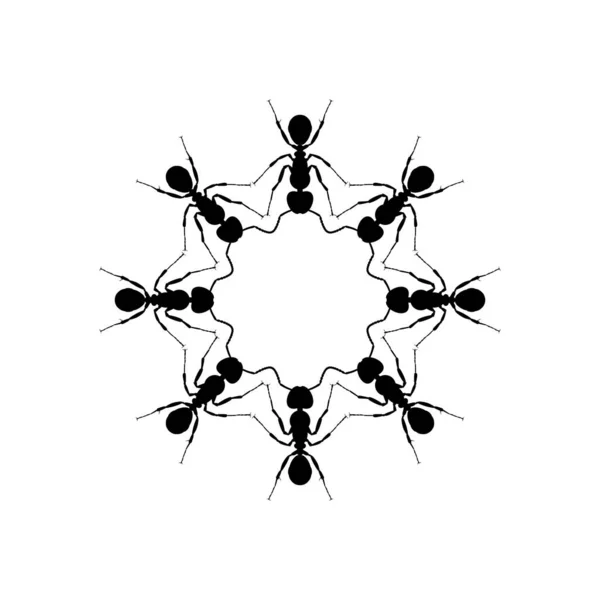 Колония Круговой Композиции Ant Silhouette Художественного Оформления Пиктограммы Графического Дизайна — стоковый вектор
