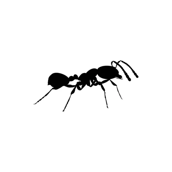 stock vector Ant Silhouette for Art Illustration, Logo, Pictogram, Website, or Graphic Design Element. Vector Illustration