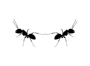 Sanat İllüstrasyonu, Logo, Pictogram, Web Sitesi veya Grafik Tasarım Elementi için Karınca Silueti Çifti. Vektör İllüstrasyonu