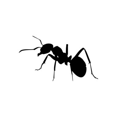 Sanat Illustration, Logo, Pictogram, Web sitesi veya Grafik Tasarım Elemanı için Ant Silhouette. Vektör İllüstrasyonu
