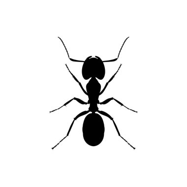 Sanat Illustration, Logo, Pictogram, Web sitesi veya Grafik Tasarım Elemanı için Ant Silhouette. Vektör İllüstrasyonu
