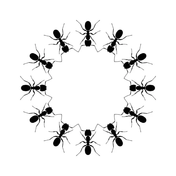 Colony Ant Silhouette Circle Shape Composition Art Illustration Logo Pictogram — 스톡 벡터