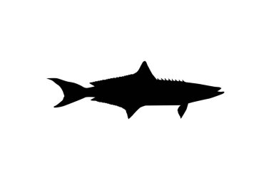 Cobia Fish Silhouette, ayrıca siyah kral balığı, siyah somon, ling, limon balığı, kerevit, müsrif evlat, morina balığı ve siyah bonito olarak da bilinir. Vektör İllüstrasyonu