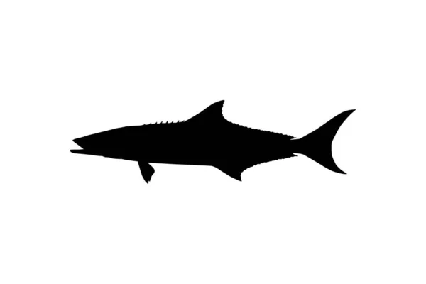 Cobia Fish Silhouette Also Known Black Kingfish Black Salmon Ling — Stock Vector