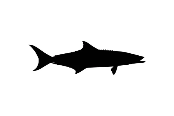 Cobia Fish Silhouette También Conocido Como Pez Rey Negro Salmón — Archivo Imágenes Vectoriales