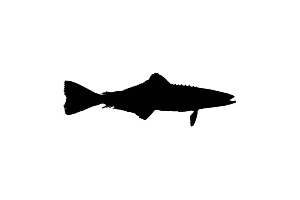 Cobia Fish Silhouette Även Känd Som Svart Kungsfisk Svart Lax — Stock vektor