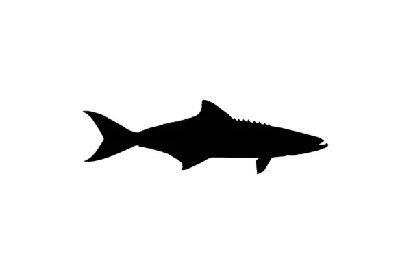 Cobia Fish Silhouette Известный Чёрный Зимородок Чёрный Лосось Линг Лимонная — стоковый вектор