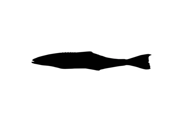 Cobia Fish Silhouette Известный Чёрный Зимородок Чёрный Лосось Линг Лимонная — стоковый вектор