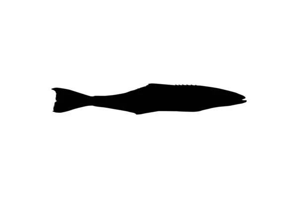 Cobia Fish Silhouette También Conocido Como Pez Rey Negro Salmón — Vector de stock