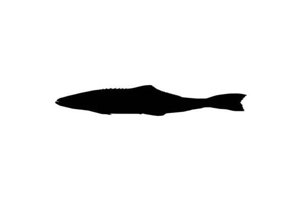 Cobia Fish Silhouette También Conocido Como Pez Rey Negro Salmón — Vector de stock