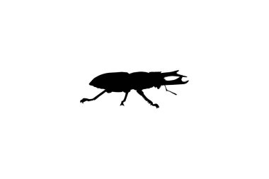 Horn Beetle veya Oryctes Rhinoceros, Dynastinae 'nin silueti Art Illustration, Logo, Pictogram, Website, Apps veya Grafik Tasarım Elementi için kullanılabilir. Vektör İllüstrasyonu