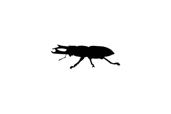 Horn Beetle Veya Oryctes Rhinoceros Dynastinae Nin Silueti Art Illustration — Stok Vektör