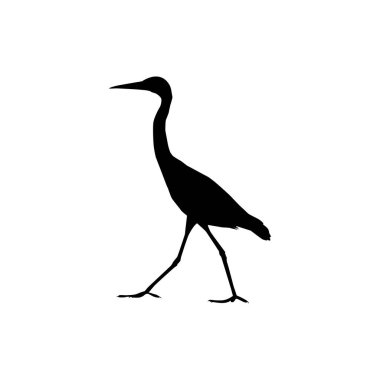 Kara Balıkçıl Kuşu (