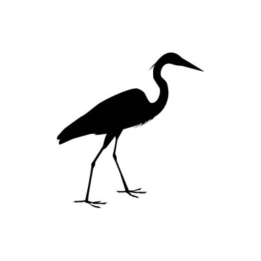 Kara Balıkçıl Kuşu (