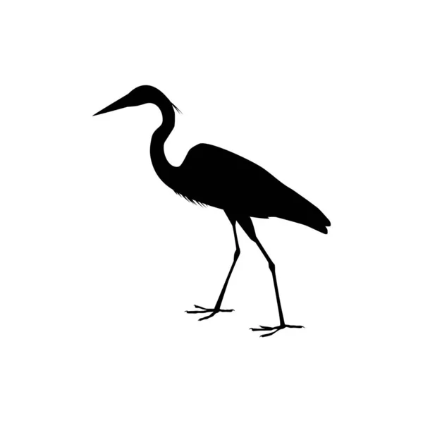 Black Heron Bird Egretta Ardesiaca Også Kendt Som Black Egret – Stock-vektor