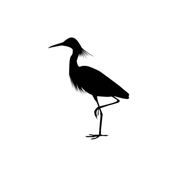 Black Heron Bird Egretta Ardesiaca Also Known Black Egret Silhouette — Stock Vector