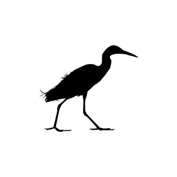 Black Heron Bird Egretta Ardesiaca Γνωστό Και Black Egret Silhouette — Διανυσματικό Αρχείο