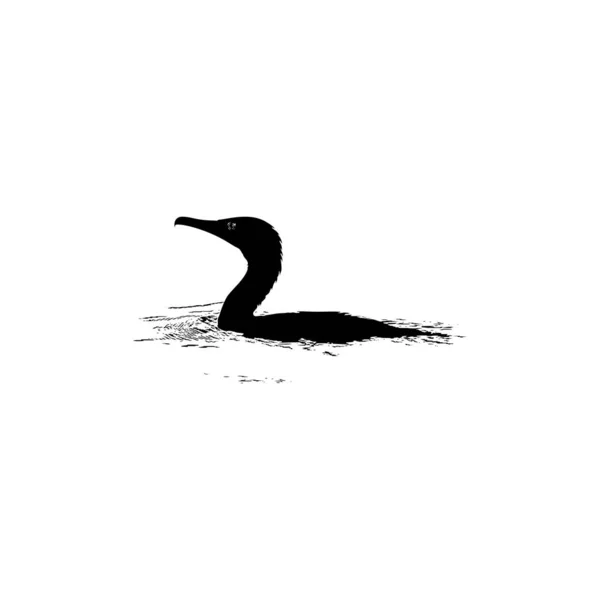 Der Schwarzreiher Egretta Ardesiaca Auf Dem Wasser Auch Als Silberreiher — Stockvektor