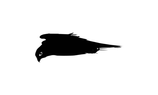 Silhouette Des Fliegenden Greifvogels Falke Oder Falke Für Logo Piktogramm — Stockvektor