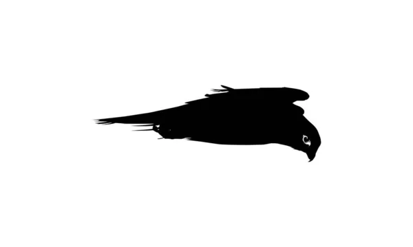 Silhouette Oiseau Volant Proie Faucon Faucon Pour Logo Pictogramme Site — Image vectorielle