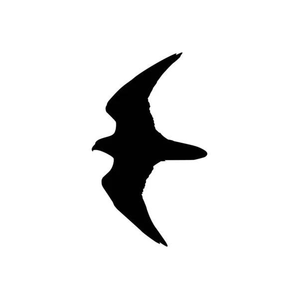 Silhouette Flying Bird Prey Falcon Hawk Logo Pictogram Website Art — Stock Vector
