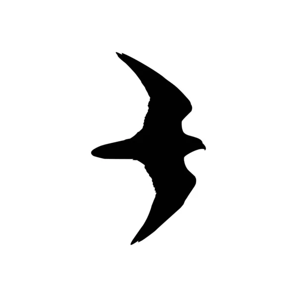 猎鹰或鹰的飞行鸟的轮廓 用于标志 象形文字 艺术图解或平面设计元素 病媒图解 — 图库矢量图片