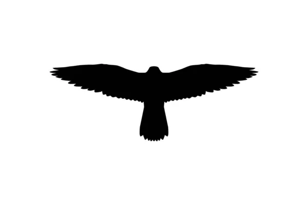 Silhouette Flying Bird Prey Falcon Hawk Logo Pictogram Website Art — 스톡 벡터