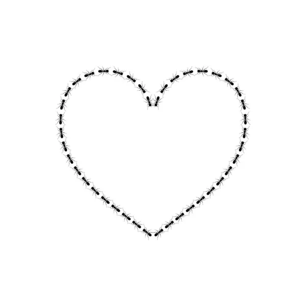 Σχήμα Καρδιάς Love Icon Σύμβολο Αποτελείται Από Ant Colony Silhouette — Διανυσματικό Αρχείο