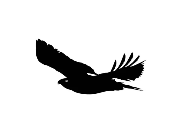 Силуэт Летающей Птицы Хищника Сокола Ястреба Например Пиктограмма Озил Искусство — стоковый вектор