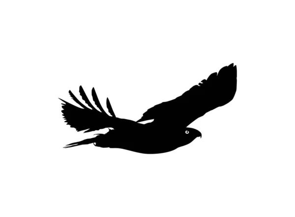 ピクトグラム ウェブサイト アートイラスト またはグラフィックデザイン要素のためのプレイ鳥 ファルコンまたはホークのシルエット ベクターイラスト — ストックベクタ