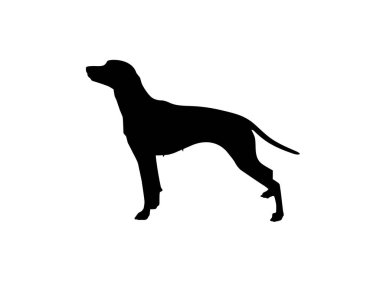Logo için Köpek Silueti, Sanat İllüstrasyonu, Uygulamalar, Pictogram, Web Sitesi veya Grafik Tasarım Elemanı. Vektör İllüstrasyonu 