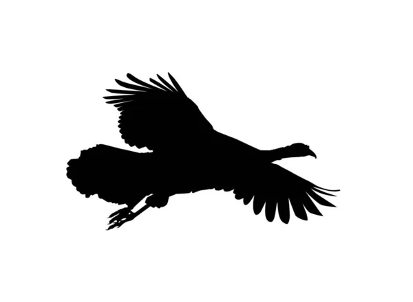 アートイラスト ピクトグラムやグラフィックデザイン要素のためのフライングトルコシルエット トルコはメラグリス属の大きな鳥です ベクターイラスト — ストックベクタ