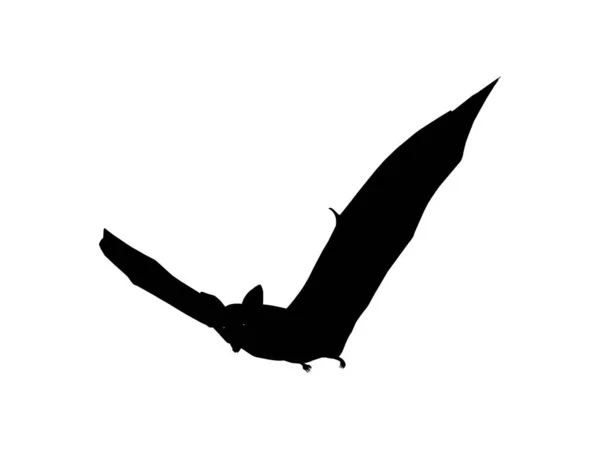 Silhouette Della Volpe Volante Pipistrello Illustrazione Arte Icona Simbolo Pittogramma — Vettoriale Stock