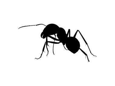 Sanat Illustration, Logo, Pictogram, Web sitesi veya Grafik Tasarım Elemanı için Ant Silhouette. Vektör İllüstrasyonu
