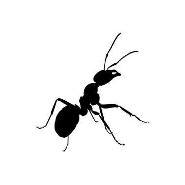 Sanat Illustration, Logo, Pictogram, Web sitesi veya Grafik Tasarım Elemanı için Ant Silhouette. Vektör İllüstrasyonu