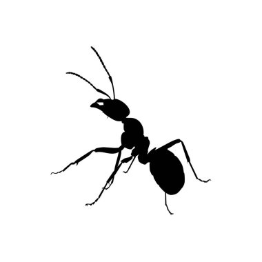 Sanat Illustration, Logo, Pictogram, Web sitesi veya Grafik Tasarım Elemanı için Ant Silhouette. Vektör İllüstrasyonu