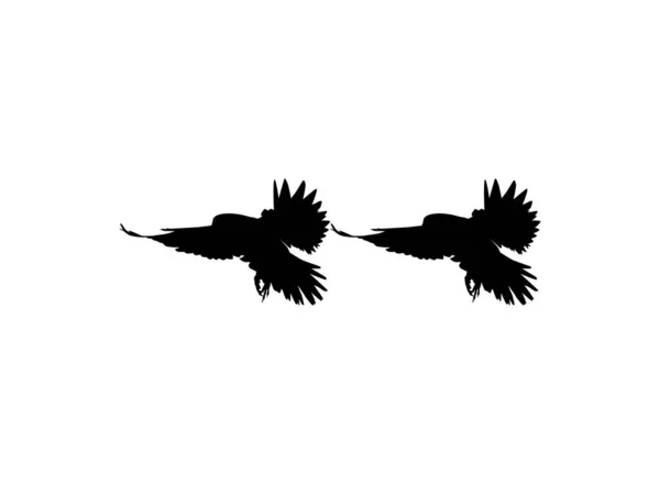 Silhouet Van Flying Pair Bird Prey Falcon Hawk Voor Logo — Stockvector