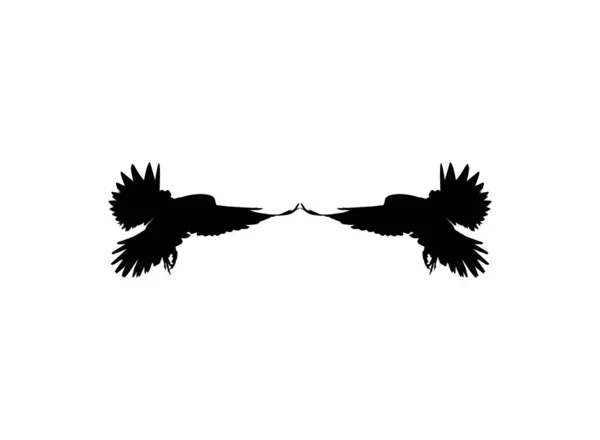 Silhouette Della Coppia Volante Uccello Rapace Falco Falco Logo Pittogramma — Vettoriale Stock