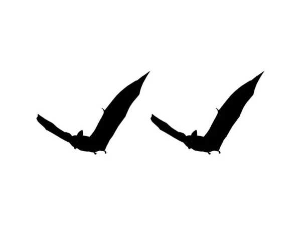 Silhouette Pair Flying Fox Або Bat Art Illustration Icon Symbol — стоковий вектор