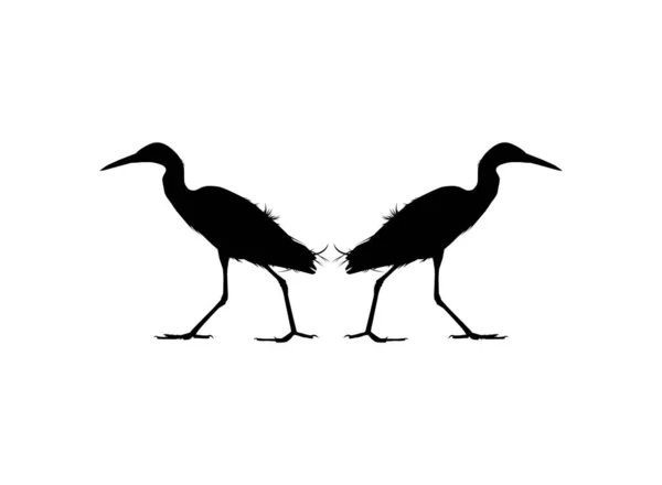 Pair Black Heron Bird Egretta Ardesiaca Також Відомий Black Egret — стоковий вектор