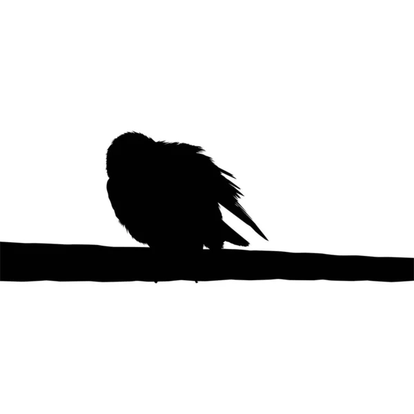 Fotoğrafçılığımın Üzerine Tünemiş Kuşun Silueti Gibi Bir Şey Vektör Llüstrasyonu — Stok Vektör