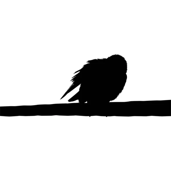 Fotoğrafçılığımın Üzerine Tünemiş Kuşun Silueti Gibi Bir Şey Vektör Llüstrasyonu — Stok Vektör