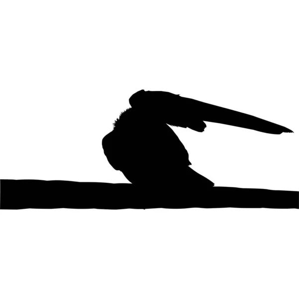 Silhouette Dell Uccello Appollaiato Sulla Base Filo Elettrico Sulla Mia — Vettoriale Stock