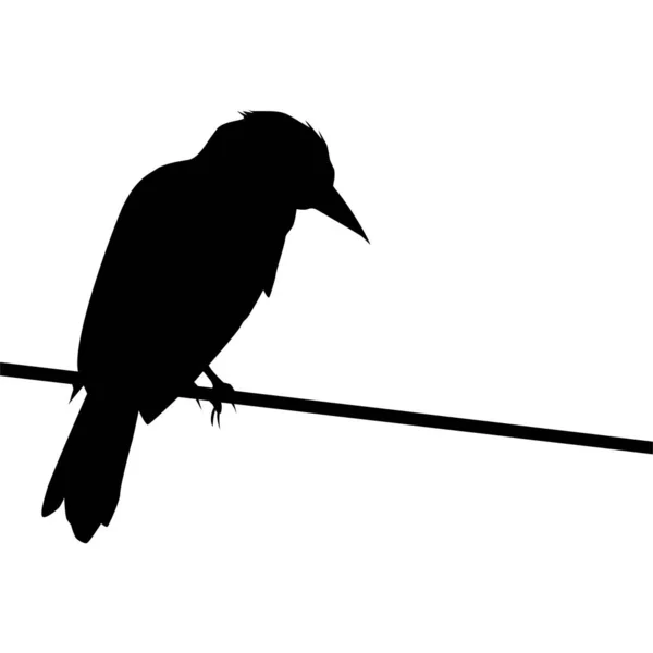 Sylwetka Ptaka Siedzącego Elektrycznej Bazie Przewodów Mojej Fotografii Ilustracja Wektora — Wektor stockowy