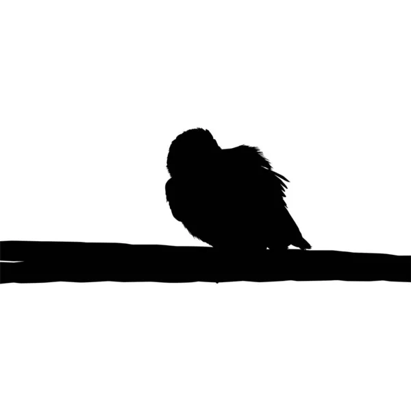 Silhouet Van Vogel Elektrische Draadvoet Mijn Fotografie Vector Illustratie — Stockvector